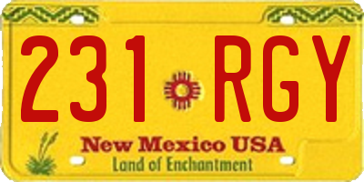 NM license plate 231RGY