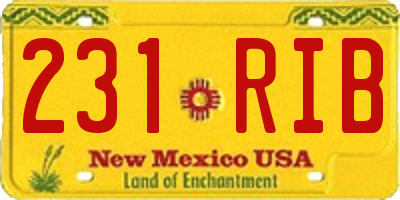 NM license plate 231RIB