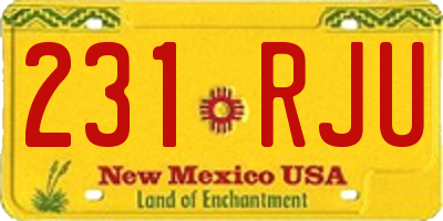NM license plate 231RJU