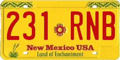 NM license plate 231RNB