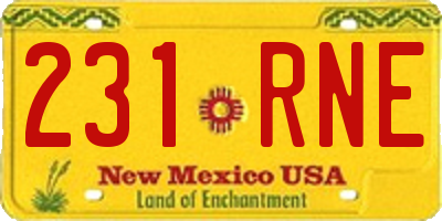 NM license plate 231RNE