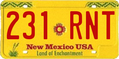 NM license plate 231RNT
