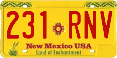 NM license plate 231RNV