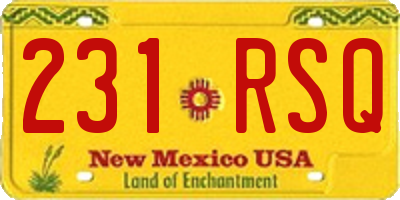 NM license plate 231RSQ