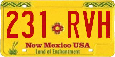NM license plate 231RVH