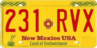 NM license plate 231RVX