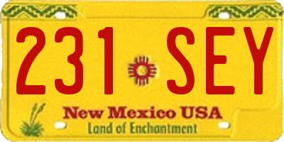 NM license plate 231SEY