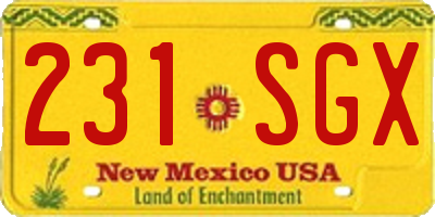 NM license plate 231SGX