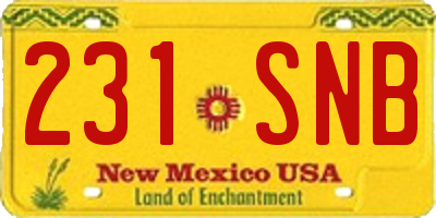 NM license plate 231SNB