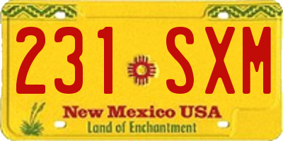 NM license plate 231SXM