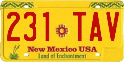 NM license plate 231TAV