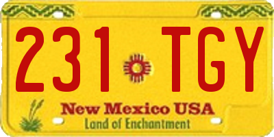 NM license plate 231TGY