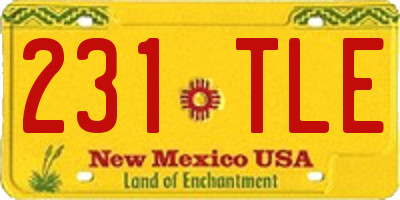 NM license plate 231TLE