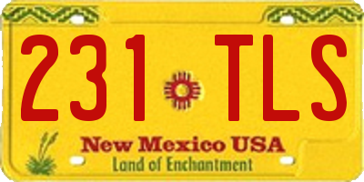 NM license plate 231TLS