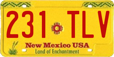 NM license plate 231TLV