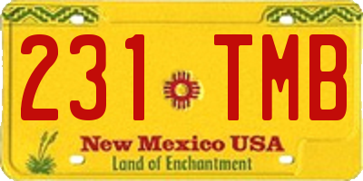 NM license plate 231TMB
