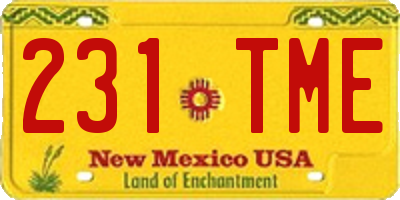 NM license plate 231TME