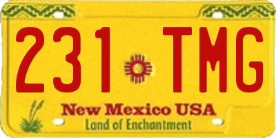 NM license plate 231TMG