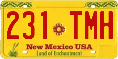 NM license plate 231TMH