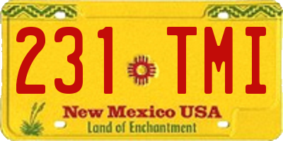 NM license plate 231TMI
