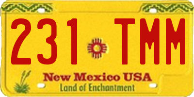 NM license plate 231TMM