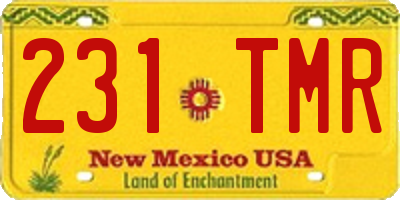 NM license plate 231TMR