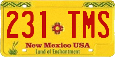 NM license plate 231TMS