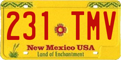 NM license plate 231TMV
