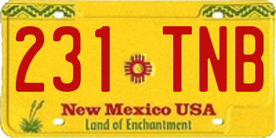 NM license plate 231TNB
