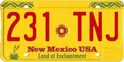 NM license plate 231TNJ