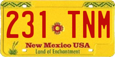NM license plate 231TNM