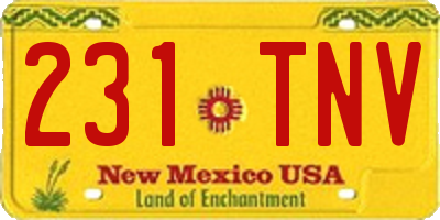 NM license plate 231TNV