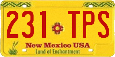 NM license plate 231TPS