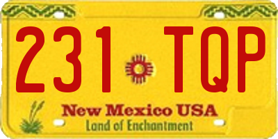 NM license plate 231TQP