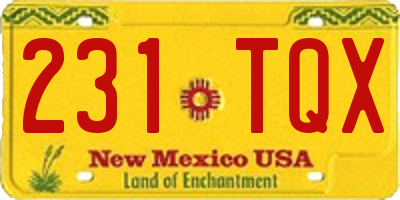 NM license plate 231TQX