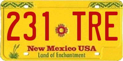 NM license plate 231TRE