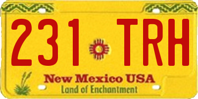 NM license plate 231TRH