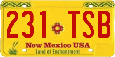 NM license plate 231TSB