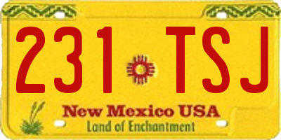 NM license plate 231TSJ