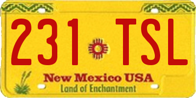 NM license plate 231TSL