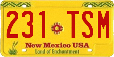 NM license plate 231TSM