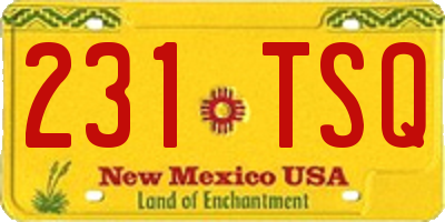 NM license plate 231TSQ