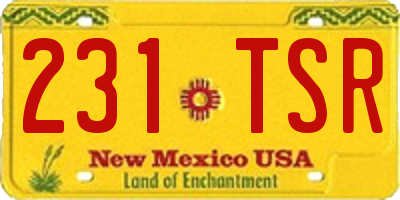 NM license plate 231TSR