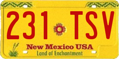 NM license plate 231TSV