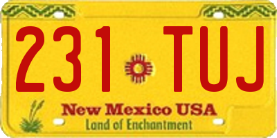 NM license plate 231TUJ