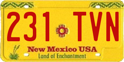 NM license plate 231TVN