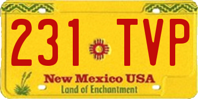 NM license plate 231TVP