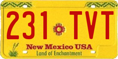 NM license plate 231TVT