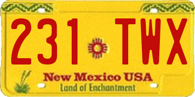 NM license plate 231TWX
