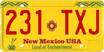 NM license plate 231TXJ